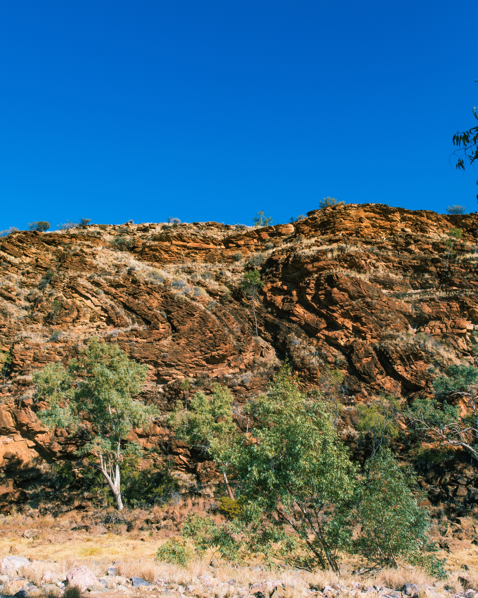 Central Australia geology