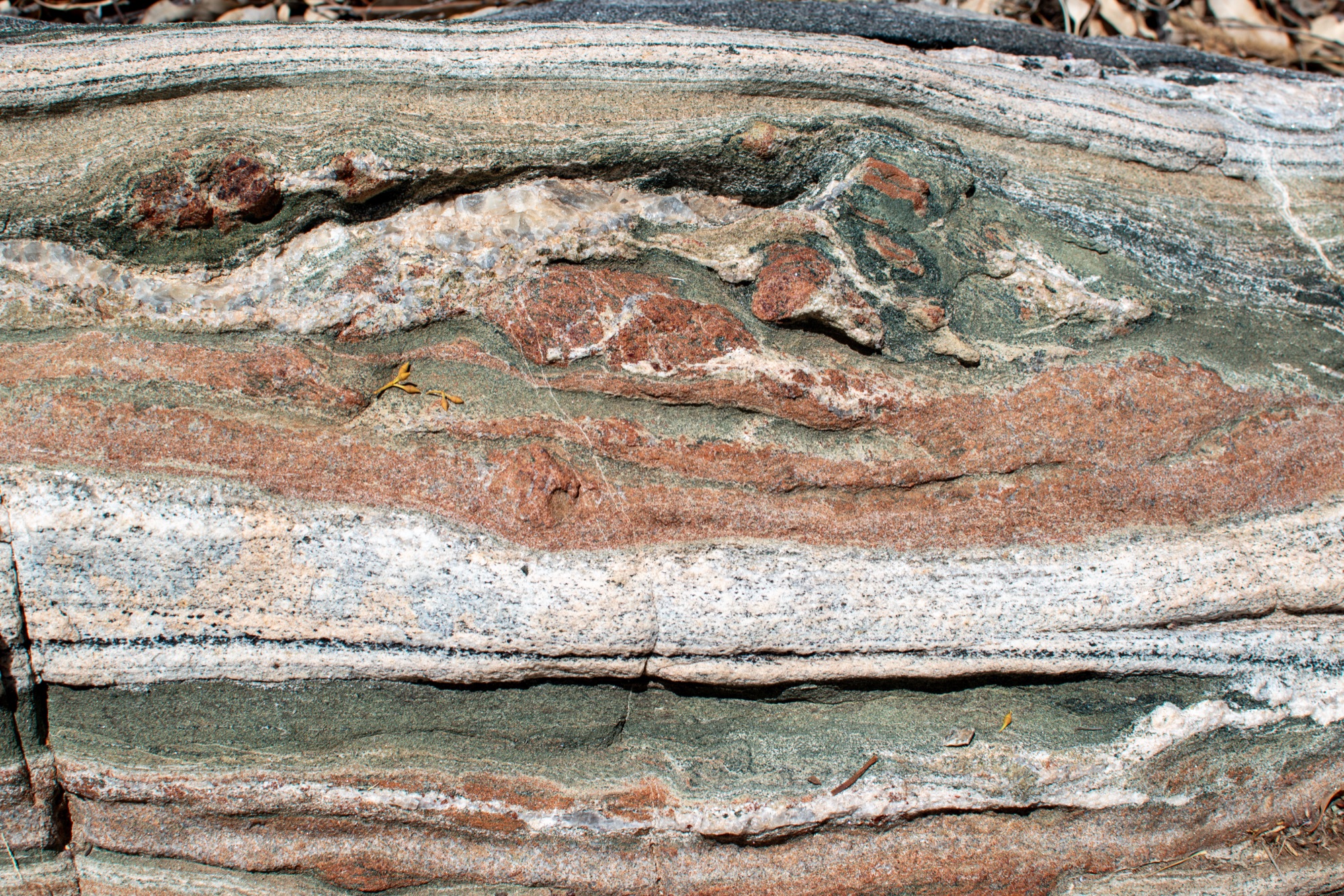 Foliation, Central Australia